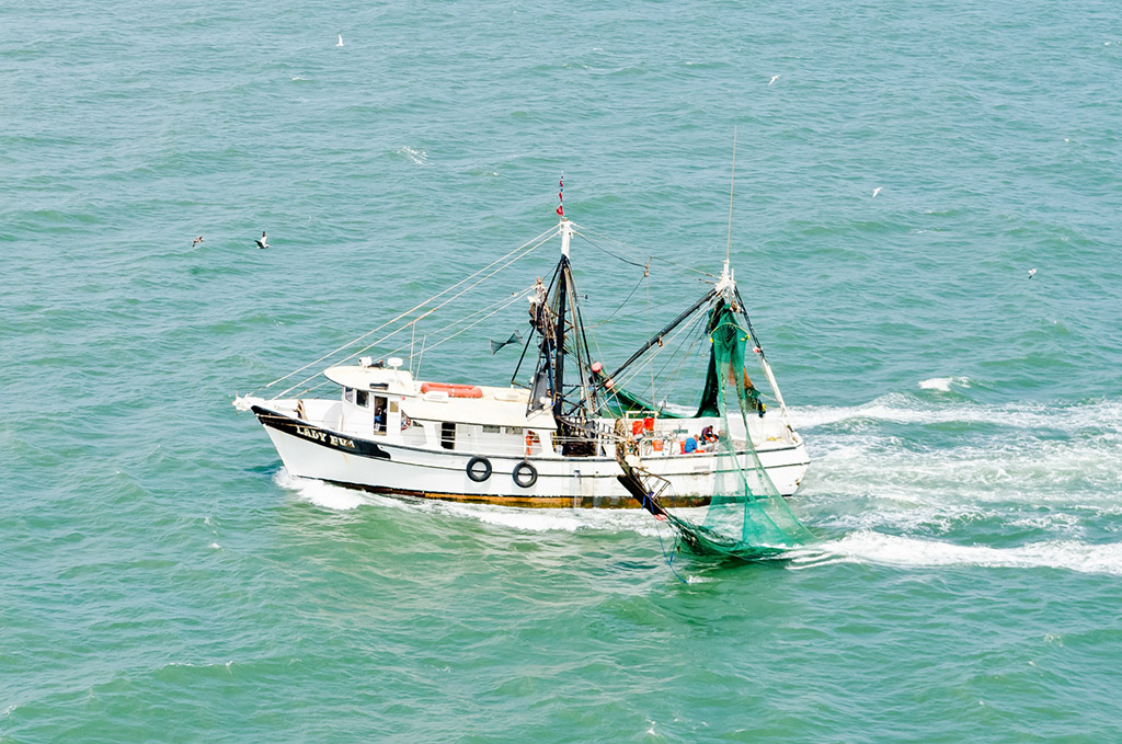 shrimp fishing boats in Charleston, SC